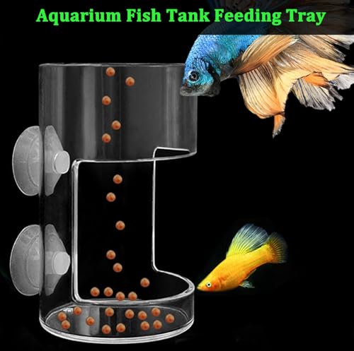2 Pcs Fish Tank Feeding Tray with Suction Cup, Acrylic Feeding Tube Fish Food Holder, Automatic Fishing Feeder Aquarium Tank Divider Supplies, Breeder Box for Aquarium Accessories (Mix) - color: Mix