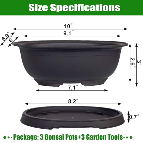 MUZHI 3 Pack Oval Bonsai Pot with Drainage Tray, Matte Finish Plastic Bonsai Growing Planters with Tools for Home Garden Plant Container (9.1" Large) - size: 9.1" Large
