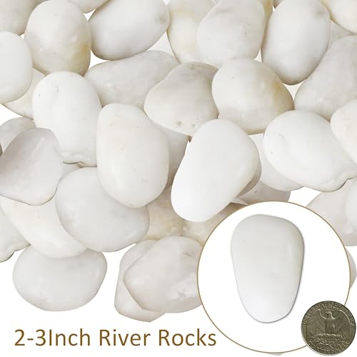 Sunnyglade 40 LBS White River Rocks, 2-3 Inch Natural Pebbles for Indoor Plants, High Polished Decorative Stones Vase Filler Fish Tank Aquariums Landscaping Garden Outdoor and Indoor DIY (40 Pounds) - size: 40 Pounds