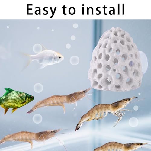 Penitue 2pcs Shrimp Hides for Aquarium, Multi-Hole Shrimp Dome Hide House with Suction Cup Coral Design Betta Fish Toys Fish Tank Accessories for Guppy and More Hiding Resting (White)