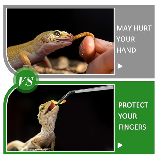 2 Pcs Extra Long Stainless Steel Reptile Feeding Tongs with Rubber Tip 18.5 Inch, 18.9 Inch Bearded Dragon Aquarium Straight and Curved Long Tweezer Terrarium Feeder Tool for Tank(Silver)
