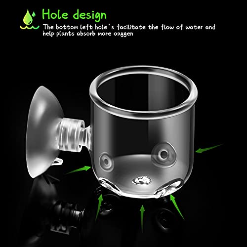 CHENGU 6 Pieces Aquatic Plant Pot with Hole Glass Aquarium Plant Cup Aquatic Planter with Suction Cups Plant Holder Aquarium Decoration for Aquarium Shrimp Fish Live Plants, 3 Styles