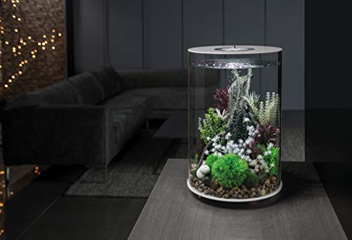 biOrb Medium Sea Pearls & Kelp Plant Set, Colorful and Durable Aquarium Decorations, Green and Crimson - color: Olive Green, size: Medium