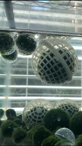12 Pcs 80mm Extra Large Clear Sphere Moss Ball Holders, Plastic Decorative Balls for Aquarium Shrimp Tank Ornament