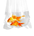 Fishery Bags 7 Inches Leak Proof Rounded Bottom Corners Clear Plastic Fish Bags for Marine and Tropical Fish Transport. (7" x 16" / 1000 Pack / 2 Mil) - size: 7" x 16" / 1000 Pack / 2 Mil