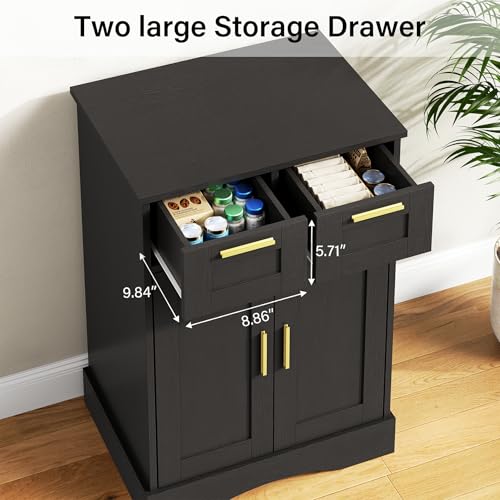 10 Gallon Fish Tank Stand with Storage Cabinet, Fish Tank Stand with 2 Drawers for Accessories Storage, Aquarium Stand 5-10 Gallon, 20.5" L x 11.0" W Aquarium Cabinet, Black PTBX02BK - color: Black, size: 5-10 Gallon