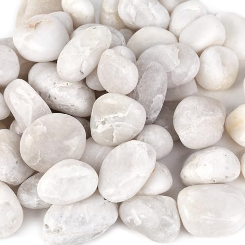 DomeStar 2.7lb White Rocks for Landscaping, White Garden Rocks Polished Pebbles Garden Stones, Pebbles for Indoor, Walkways, Yard, Plants, Aquarium Fish Tank,Vase Filler Decor