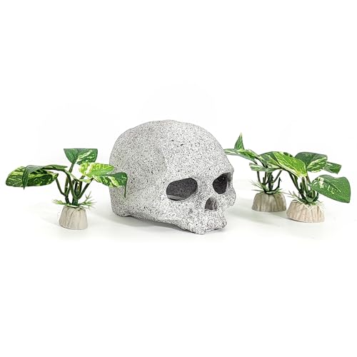 Fish Aquarium Decorations Cave Hide with Viewing Window for Betta Fish Tank Decor - color: Green 4