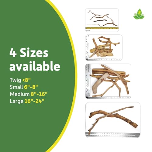 Josh's Frogs Manzanita Wood (Medium) - size: Medium