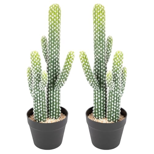 2 Pcs Artificial Cactus Plant Outdoor with Black Pot, 23 Inch Realistic Fake Cactus Indoor Decoration, Faux Desert Cacti for Home Office Garden Store Decor. - size: 23 Inch-2Pcs