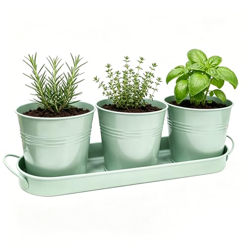 TCBWFY Indoor Herb Garden Planter Set - 3 Pack 4.7" Green Metal Plant Pots with Drainage Holes & Removable Tray - Windowsill Kitchen Counter Balcony Office Garden - color: Green