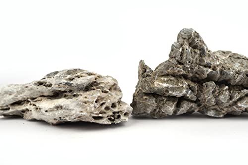 Seiryu Stones Natural Rocks (17lbs, 3~11 inches,7-8pcs) for Aquarium, Paludarium, Terrariums, Landscaping Rocks, Aquascaping - size: 06 Seiryu Stones(3-11inch,17lbs)