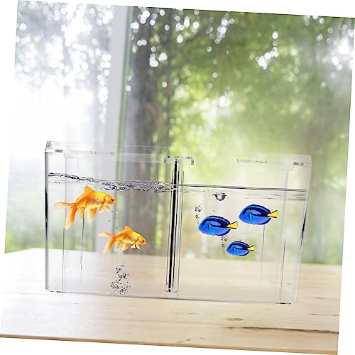 BESPORTBLE Multifunctional Betta Box Fish Breeding Isolation Aquarium Tank Hatching Incubator Box