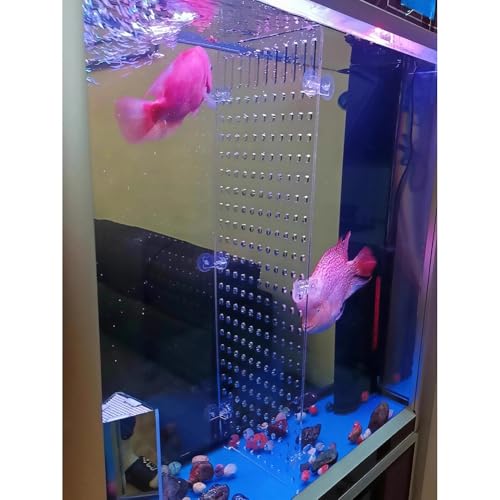 Rygcrud Aquarium Divider – 5mm Thick Transparent Acrylic Panel with Suction Cups, Fish Tank Isolation Board Partition for Divide Space(55x70cm) - size: 55x70cm