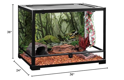 AWERT Foggy Forest Terrarium Background Stream Green Huge Tree Reptile Habitat Background Tropical Rainforest Aquarium Background 36x24 inche36x24in90x60cm - size: 36x24in/90x60cm