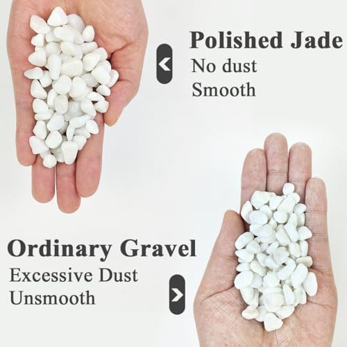 YISZM 2LB Succulent and Cactus Gravel Pebbles, 3/8 Inch Natural Decorative Polished Stones, River Rocks for Plants, Vases, Aquariums, Terrarium and Outdoor Gardening, White - color: White, size: 2 Pounds