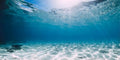 24X12 Inch Underwater Sea Theme Aquarium Background - Tropical Ocean Floor Polyester Backdrop for Saltwater Fish Tanks - size: 24X12in
