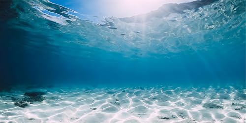 36X18 Inch Underwater Sea Theme Aquarium Background - Tropical Ocean Floor Polyester Backdrop for Saltwater Fish Tanks - size: 36X18in