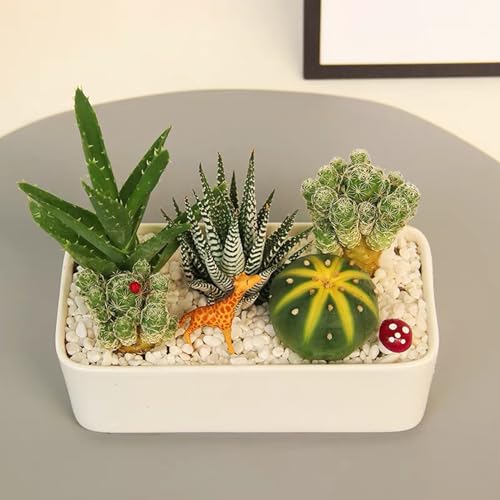 1LB Natural Gravel Pebbles, Cactus and Succulent Plants Pebbles, Small Decorative Polished Stones, White River Rocks for Potted Plants, Vases, Aquariums, Terrarium and Outdoor Gardening - color: 1LB White