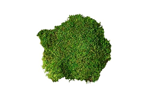 SuperMoss (21485) Sheet Moss – Flat Moss for Plants, Terrariums, Wedding Decor & Crafts, Safe, Non-Toxic, Long-Lasting Green Moss for Indoor Plants, Vivariums & Green Wall Art, 175 Cu. in., Preserved