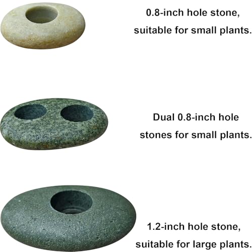Natural River Stone Plant Weights for Aquarium, Handmade Pebble Anchors for Aquatic Plants, Fish Tank Decorations, Unique Shape & Size, Landscape Plant Weights (0.8″ 2holes 6pcs) - color: Small 0.8″ 2holes 6pcs