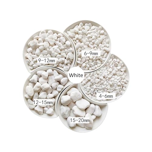 1LB Natural Gravel Pebbles, Cactus and Succulent Plants Pebbles, Small Decorative Polished Stones, White River Rocks for Potted Plants, Vases, Aquariums, Terrarium and Outdoor Gardening - color: 1LB White
