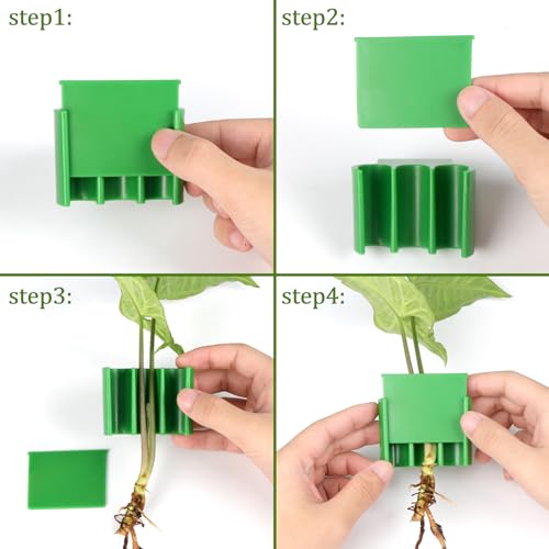 3 Holes Upgraded Aquatic Plant Cup Aquarium Plant Holder for Tank,Aquascape Accessories Decorations- Green 2 Pcs - color: Green 2 Pcs