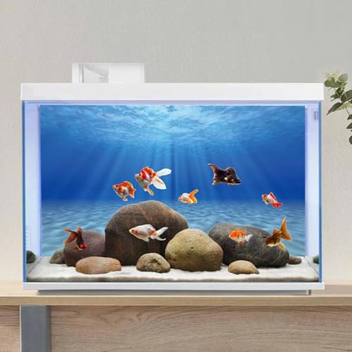AWERT Ocean Floor Background Undersea Theme Aquarium Background Sunshine Underwater World Fish Tank Background 48x18 inches Polyester Background - size: 48 x 18 inches
