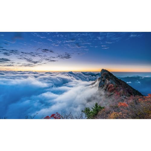 Misty Mountains Reptile Tank Background Mountain Peak Mesmerizing Sky Aquarium Background Rocks Sandstone Reptile Enclosure Backgrounds Trees Lush Clouds Foggy Mountain Fish Tank Backgrounds 24x12in - color: Navy Blue, size: 24(W)x12(H)inches/ 60(W)*30cm(