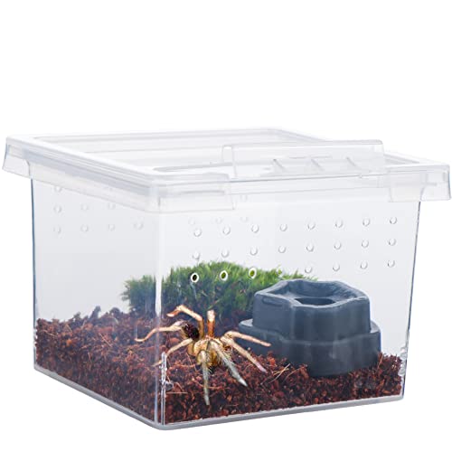 10 Pack Small Size Spider Terrariums Breeding Box Hatching Container Insect Scorpion Centipede Acrylic Breeding Box (with 10 Pcs Micro Water Bowl