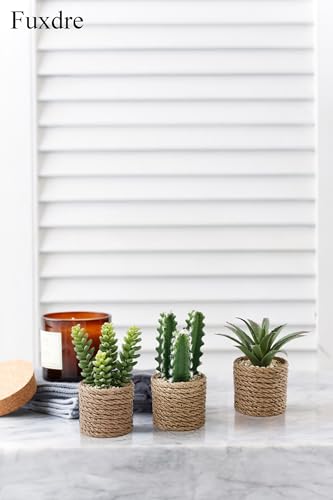 3-Pack Artificial Succulent Plants in Vintage Plastic Pots - Fake Waterproof Succulents Decor for Home, Office, Desk, Shelf - Low Maintenance Indoor Greenery for Bathroom, Living Room, Table Decor - color: Succulent-d-3pcs