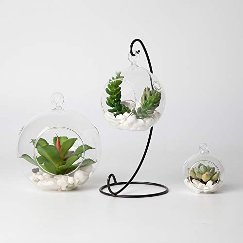 WGV Hanging Terrarium Globe, Width 3", Height 4", DIY Air Succulent Planter, Clear Glass Vase Orb with Flat Bottom, Candle Holder for Windowsill Outdoor Garden Decor, 6 Pieces Bulk - size: 3" Flat Bottom