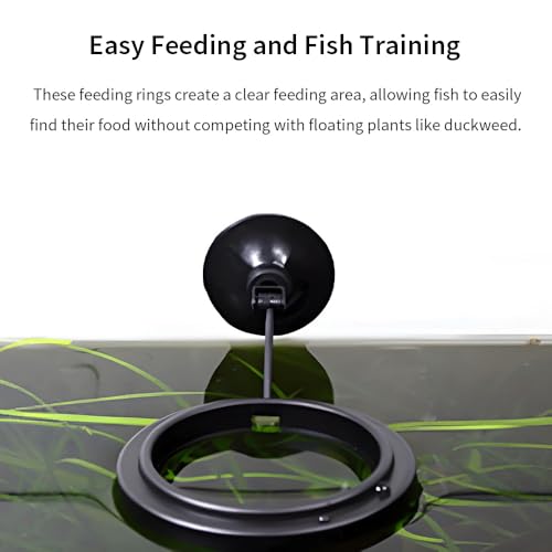 2Pcs Fish Feeding Rings Black Round Floating Food Feeder Circle with Suction Cup for Fishes Tank Aquarium Turtle Betta Goldfish Small Fish Feeding Accessories Floating Plant Duckweed Ring - color: Black, size: Round-2Pcs