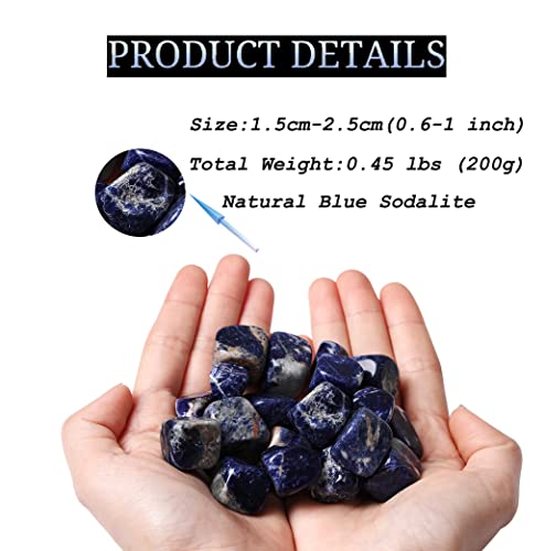 DUQGUHO Blue Sodalite Natural Healing Crystals Stones Set Polished Tumbled Irregular Pebble Stones Rocks 0.45 lbs - color: 08 Blue Sodalite