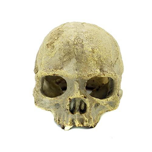 JIHAQUA Aquarium Resin Skull, Reptile Tank Accessories Ornament Basking Snake Hide Decor Habitat
