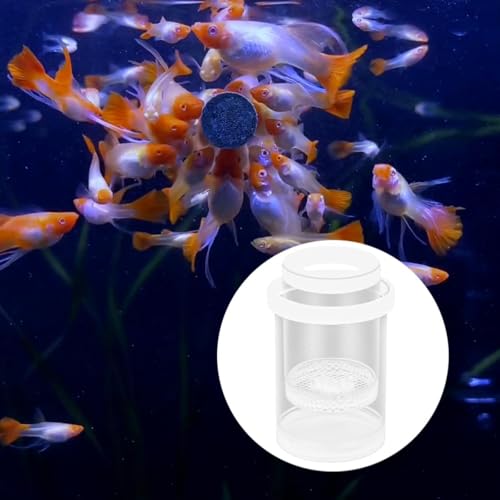 Fish Breeding Box Aquarium Floating Breeder Incubator Holder Isolation Container with Hole Lid Easy Setup Clear pp Material Suitable for Guppy Betta, White - color: white