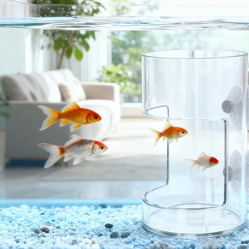 No Mess Aquarium Feeder, Acrylic Clear Fish Tank Feeder with Suction Cup, Preventing Food Scattering Feeding Tray Hollow Floating Sinking Shrimp Food Holders (Round,1) - color: Round