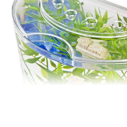Tetra LED Half Moon Aquarium Kit, 1.1 Gallons, Small, Clear Plastic Fish Tank With Curved Front, Easy Feeding And Movable, Energy-Efficient LEDs Ideal For Bettas Great As Desk Aquarium