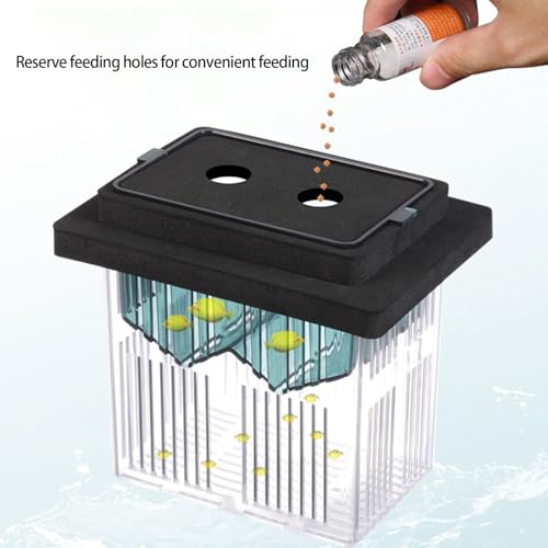 Floating Breeding Box for Aquarium Clear Design Safe Hatchery Container for Shrimp Fish Fry Secure Habitats Aquarium Accessory