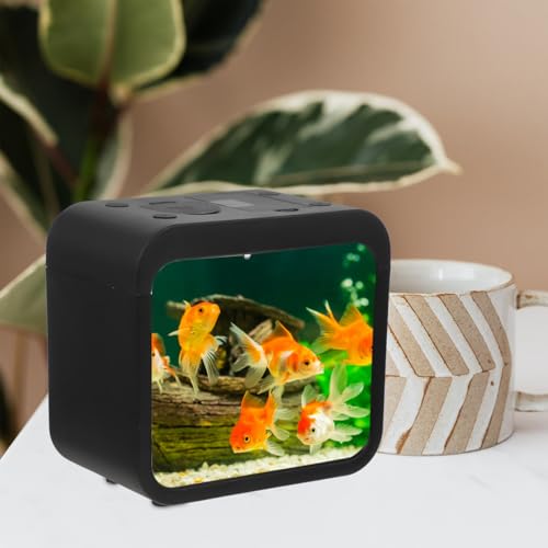 Mini Fish Tank with Light Color Changing Led Small Transparent Fish Breeding Box Desktop Aquarium for Home Decor 5.11X4.72X3.14 Inches - color: Black