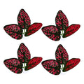 SUPVOX 4pcs Betta Fish Spawning Base Leaf Pads Artificial Aquarium Landscape Leaves Red Simulation Decoration for Fish Tank Habitat