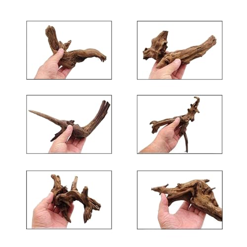 Kathson 4 PCS Aquarium Driftwood Decoration - Natural Branches for Fish Tank, Reptile Terrarium Habitat - Assorted Sizes Wood Accessories - size: 4pcs: 4.2-8.5inch
