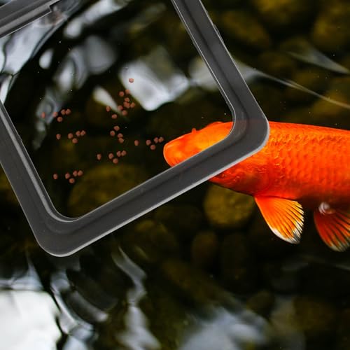 HOMSFOU 4pcs Aquarium Feeding Rings Fish Food Retaining Circles Reusable Portable Fish Feeder Rings with Suction Cups for Tank Feeding Aquarium Accessories