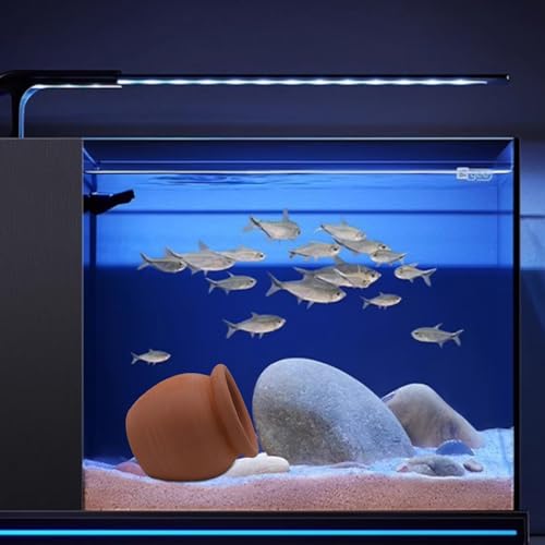 Saim Aquarium Ceramic Cave for Fish Tank - Natural Clay Pot Hideout Decor for Betta, Shrimp, Cichlid, Small Fish Breeding & Hiding, Cute Hideout Cave Ornament Aquatic Habitat - Small - size: Small