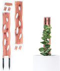 Treleaf Zella Regular Starter Kit – Wooden Extendable Plant Trellis for Indoor Climbing Houseplants – Modular Plant Support with 2 Bases + 2 Extensions - Moss Pole Alternative - size: Regular - Starter Kit