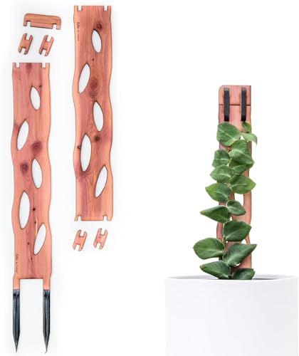 Treleaf Zella Regular Starter Kit – Wooden Extendable Plant Trellis for Indoor Climbing Houseplants – Modular Plant Support with 2 Bases + 2 Extensions - Moss Pole Alternative - size: Regular - Starter Kit