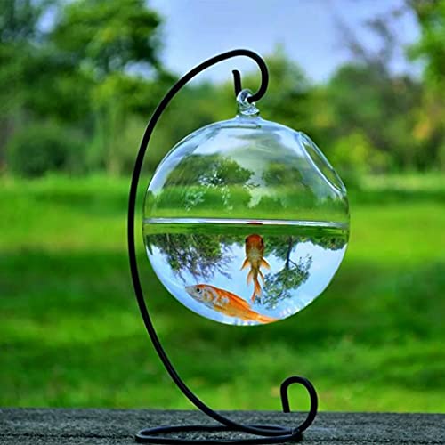 Spherical Glass Handmade Fish for Round Shape Hanging Glass Aquarium Fish Bowl Clear Plant Terrarium