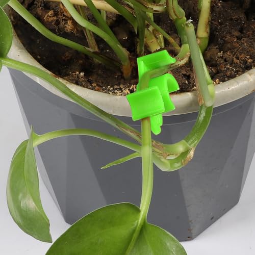 LucyPhy 90 Pack Plant Bender Angle Adjustable Plant Training Clips Low Stress Training Clips 90 Degrees Plant Stem(Circle Style,Green) - color: Green, size: 90Pack