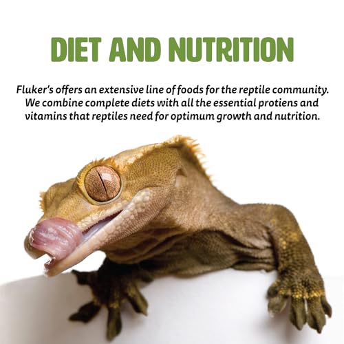 Fluker's Buffet Blend Box Turtle Diet, Insects, Veggies and Fruit with Fortified Pellets, 3.25 lbs. - size: 3.24 Pound (Pack of 1)