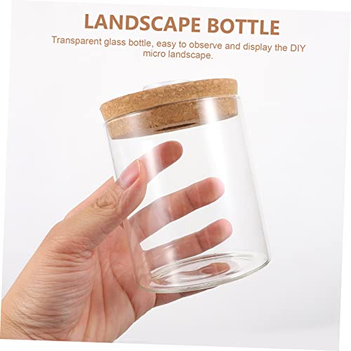 Ciieeo 1Pc Mini Glass Ecosystem Bottle with LED Light Creative DIY Micro Landscape Terrarium Holder for Fish Plants and Flowers Decorative Glass Jar for Home - size: 11X8.2X8.20cm